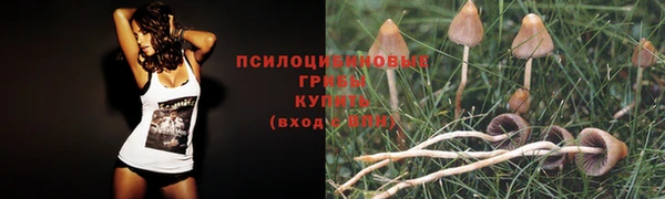 спайс Абаза