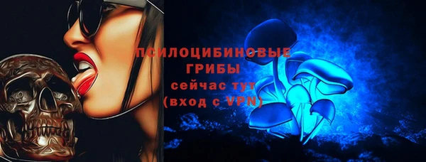 спайс Абаза