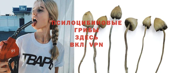 спайс Абаза
