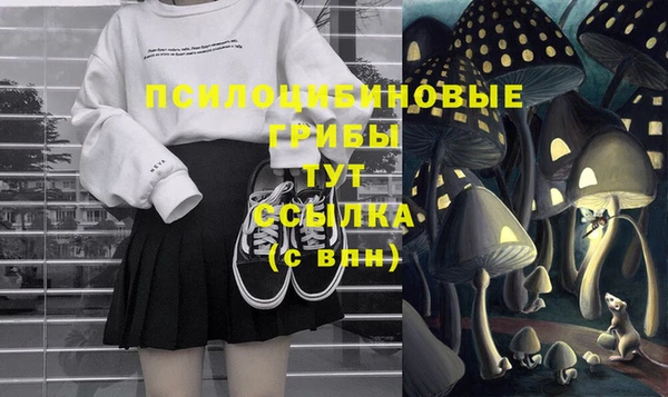 гидра Абинск